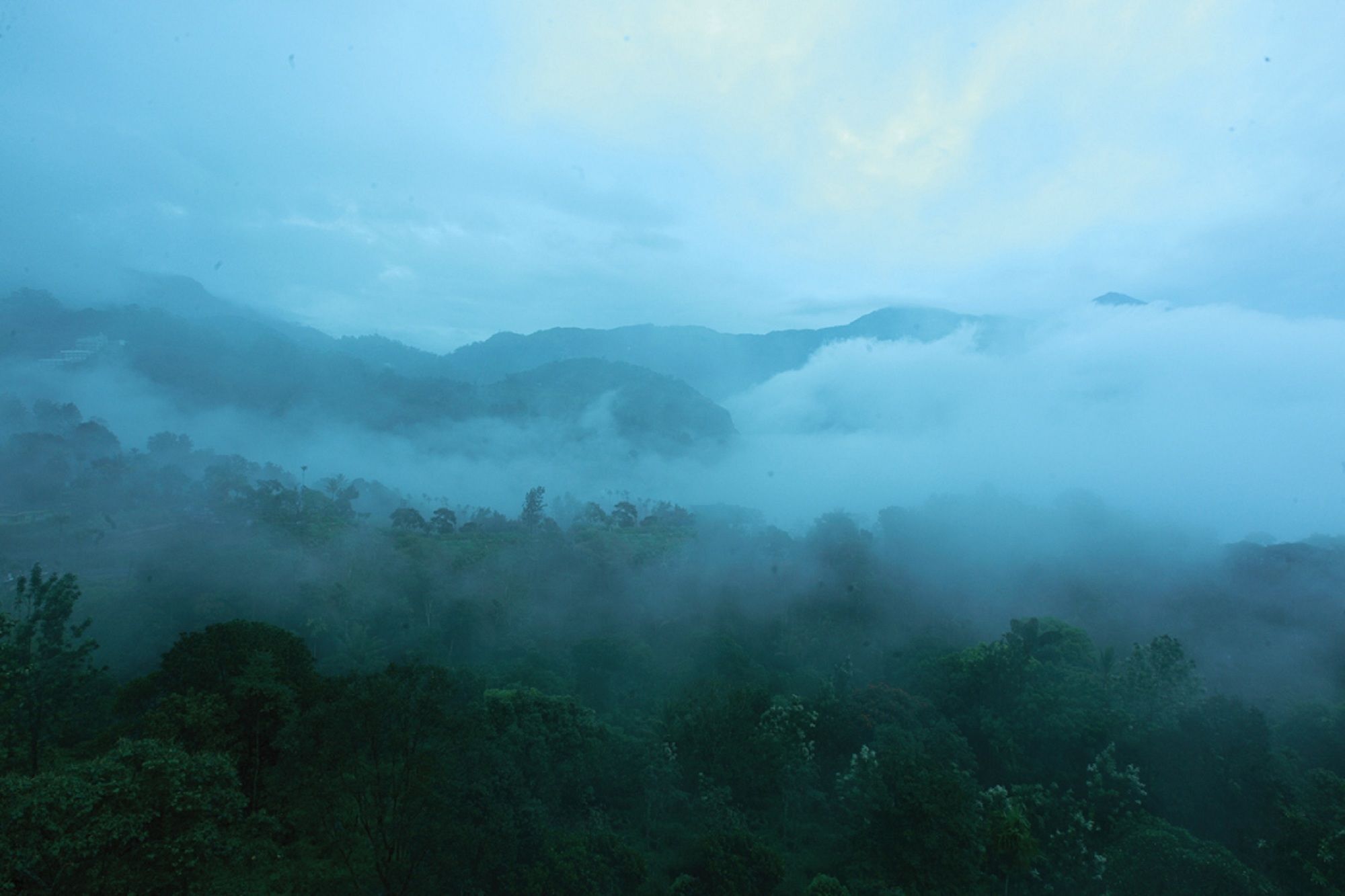 Bellavista Resort Munnar Exterior photo